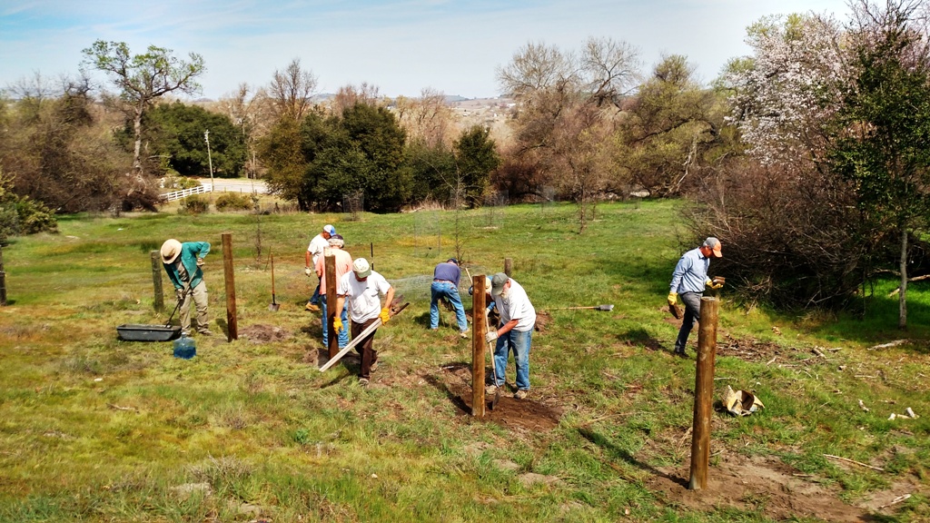 Volunteers setting the posts for the new fence